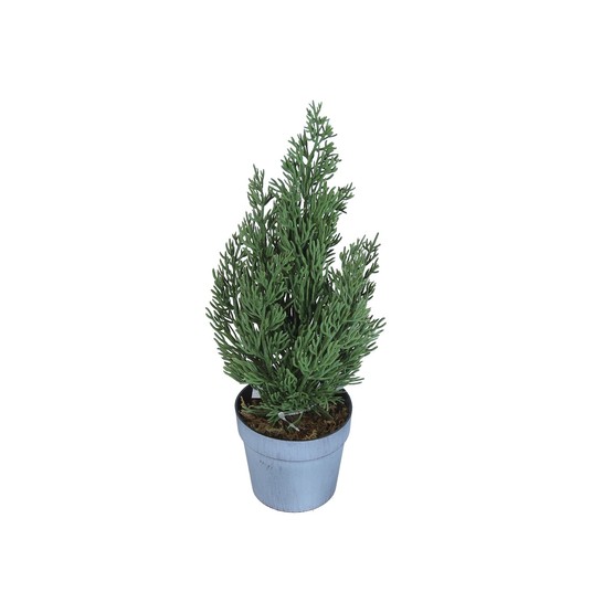 Choinka ozdobna w doniczce 34cm -zdjęcie numer 1