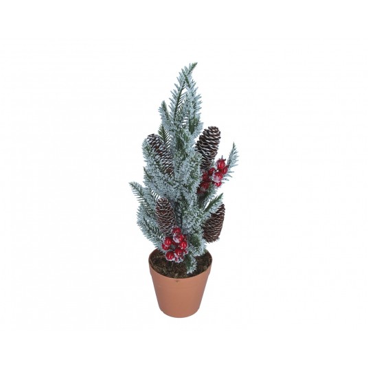 Gałązka jodły ozdobnej w doniczce 46cm -zdjęcie numer 1