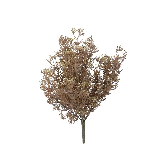 Gałązka zasuszonego kopru 45cm -zdjęcie numer 1