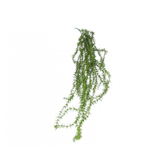 Gałązka zielonego asparagusa 100cm -zdjęcie numer 1