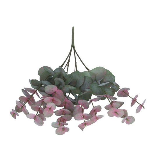 Gałązka zielono-bordowego eukaliptusa 53cm -zdjęcie numer 1