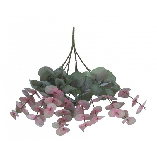 Gałązka zielono-bordowego eukaliptusa 53cm -zdjęcie numer 2