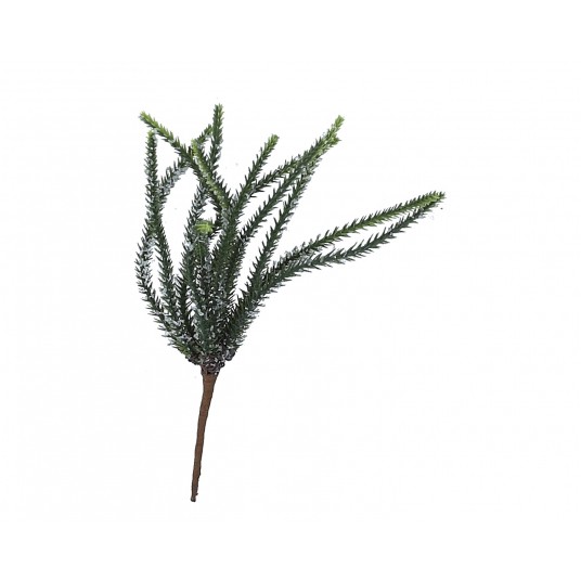 Galązka zielonych wodorostów 23cm -zdjęcie numer 1