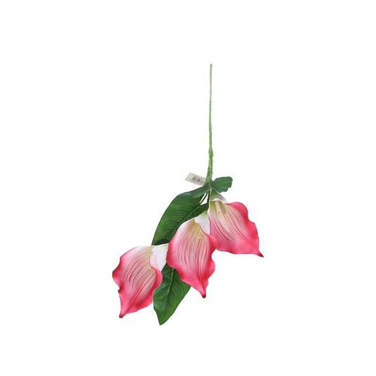 Kala amarantowa 3 kwiaty na łodydze 90cm -zdjęcie numer 1