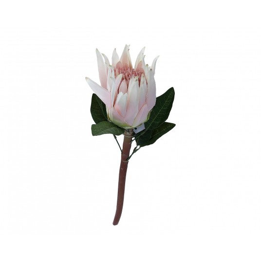 Karczochy j. rózowe na lodydze 60cm -zdjęcie numer 1