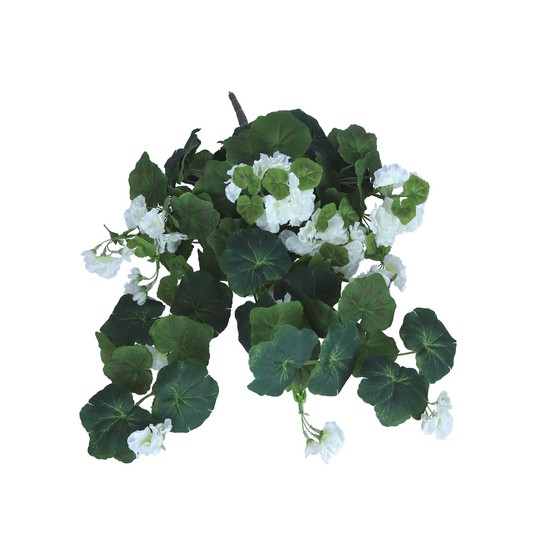 Pelargonia biała do kompozycji 68cm -zdjęcie numer 1