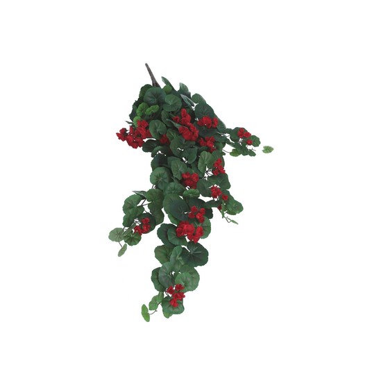 Pelargonia czerwona do dekoracji 112cm -zdjęcie numer 1