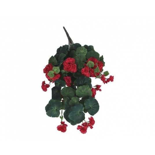 Pelargonia czerwona do kompozycji 68cm -zdjęcie numer 1