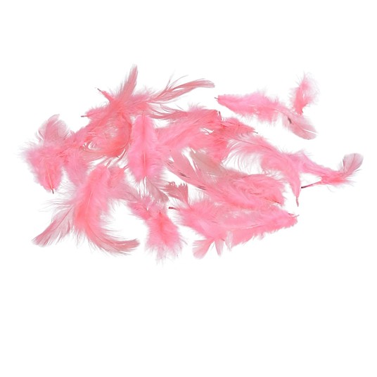 Pióra c.malinowe róźne roz. 10cm/4cm -zdjęcie numer 1