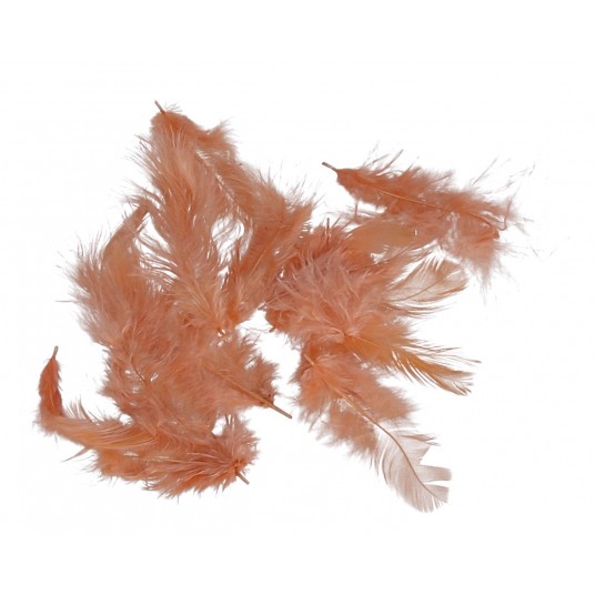 Pióra szare róźne rozmiary 10cm/4 -zdjęcie numer 4