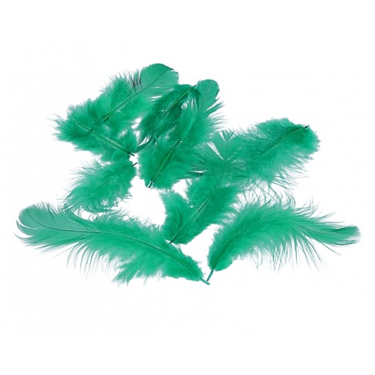 Pióra zielone róźne roz. 10cm/4cm -zdjęcie numer 1