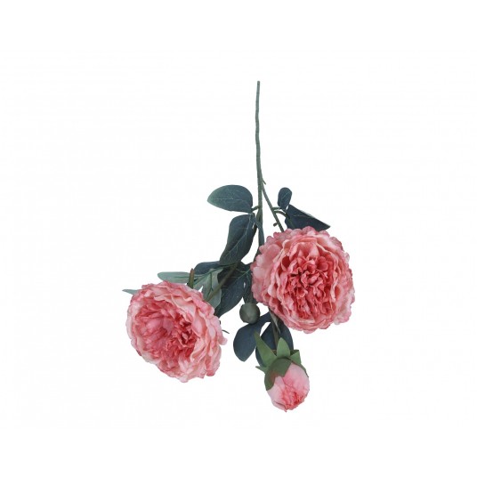 Piwonia róźowo-łososiowa 72cm -zdjęcie numer 1