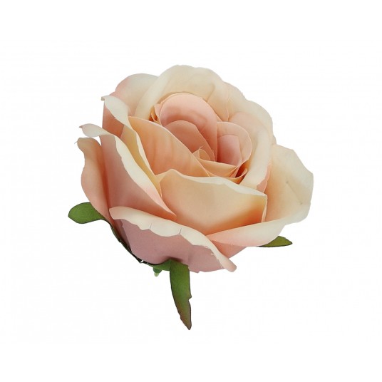 Róza wyrobowa herbaciana 7cm -zdjęcie numer 1