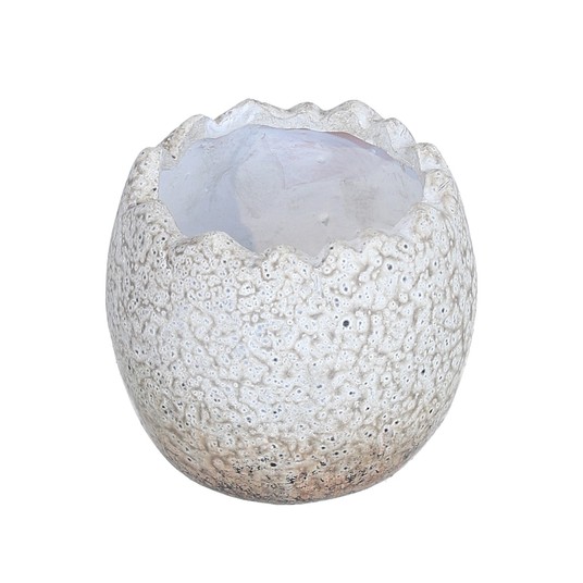 Skorupka jajka do kompozycji śr 11cm/9cm -zdjęcie numer 1