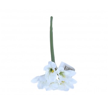 Amarylis biały do kompozycji 46cm