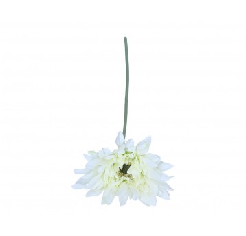 Aster biały na łodydze 48cm