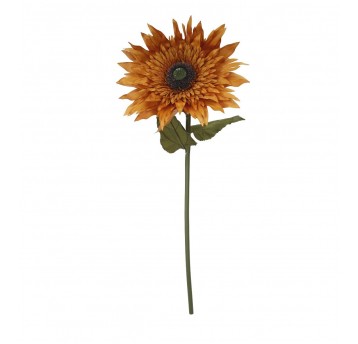 Aster pomaranczowy ozdobny do dekoracji 118cm