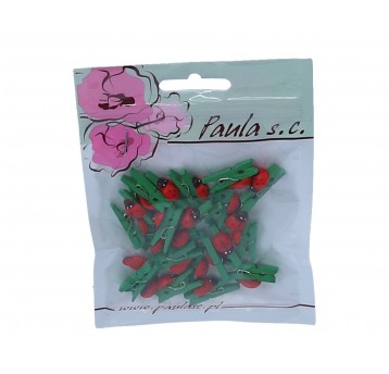 Biedronka 1 na zielonym spinaczu 2,5cm