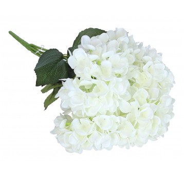 Bukiet białej hortensji 50cm