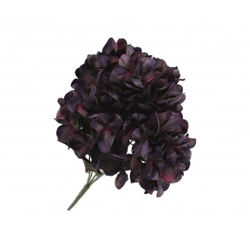 Bukiet hortensji c.fiolet 50cm