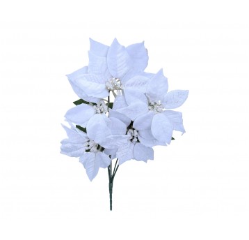 Bukiet poinsecji białej 52cm