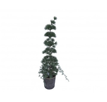 Choinka zielona w doniczce 60cm