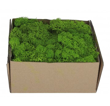 Chrobotek -mech j.zielony 19cm/19cm