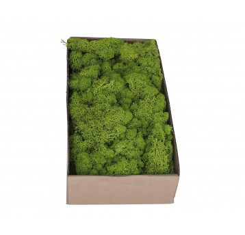 Chrobotek -mech j.zielony 36cm/20cm