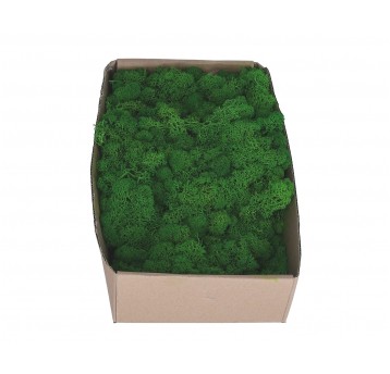 Chrobotek -mech zielony 36cm/20cm