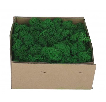 Chrobotek -mech zielony do dekoracji 19cm/19cm