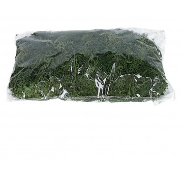 Chrobotek zielony w paczce op=20cm/13cm