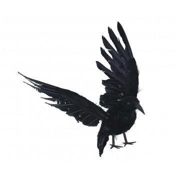 Czarny kruk ze skrzydłami do kompozycji 10cm/32cm