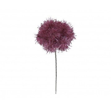 Czosnek ozdobny na łodydze 30cm