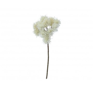 Czosnek ozdobny na łodydze 38cm