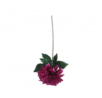 Dalia bordowa do kompozycji 74cm