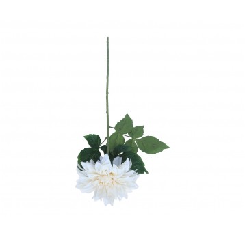 Dalia kremowa do kompozycji 74cm