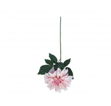 Dalia kremowo-róźowa do kompozycji 74cm