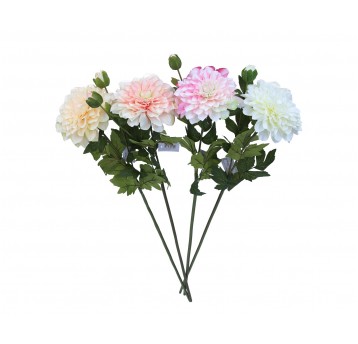 Dalia na łodydze 4kol. 78cm