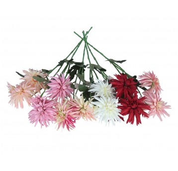 Dalia ozdobna mix 6 kol. 72cm