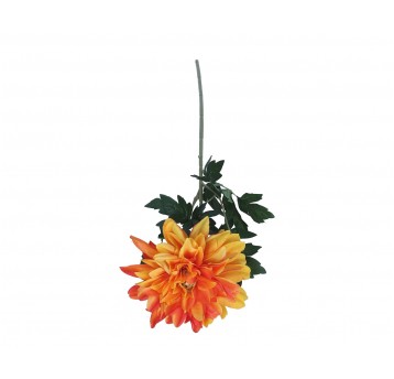 Dalia pomaranczowa na łodydze 64cm
