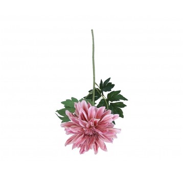 Dalia różowa 65 cm