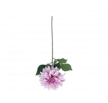 Dalia róźowo-fioletowa do kompozycji 74cm