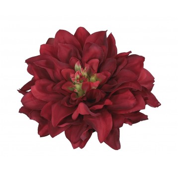 Dalia wyrobowa bordowa śr 14cm