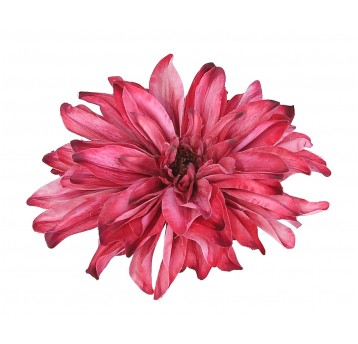 Dalia wyrobowa jasne bordo 15cm