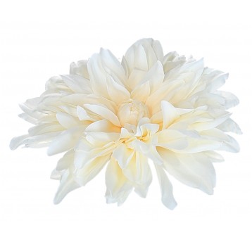 Dalia wyrobowa kremowa 15cm