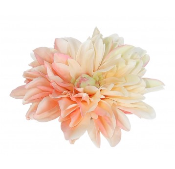 Dalia wyrobowa kremowo-róźowa 15cm