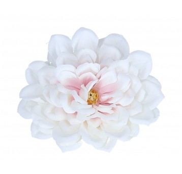 Dalia wyrobowa kremowo-róźowa śr 11cm