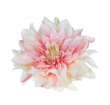 Dalia wyrobowa kremowo-róźowa śr 14cm