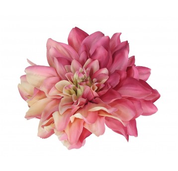 Dalia wyrobowa róźowo-źółta śr 14cm