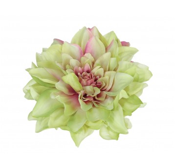 Dalia wyrobowa zielona śr 14cm